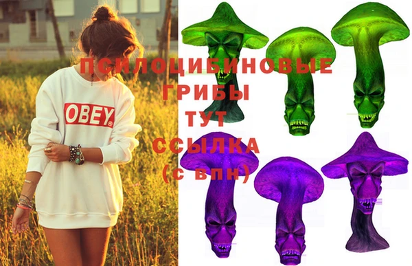 тгк Абдулино