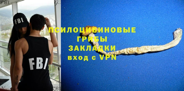 прущий лед Алексин
