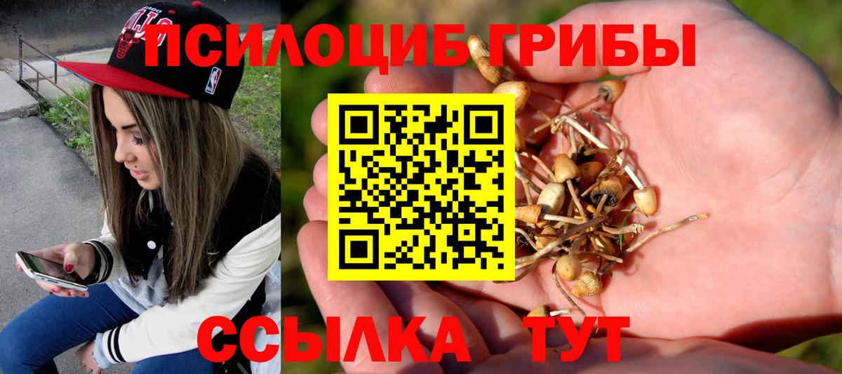 Галлюциногенные грибы Cubensis  Псилоцибиновые грибы мицелий  Якутск  Вход с VPN 